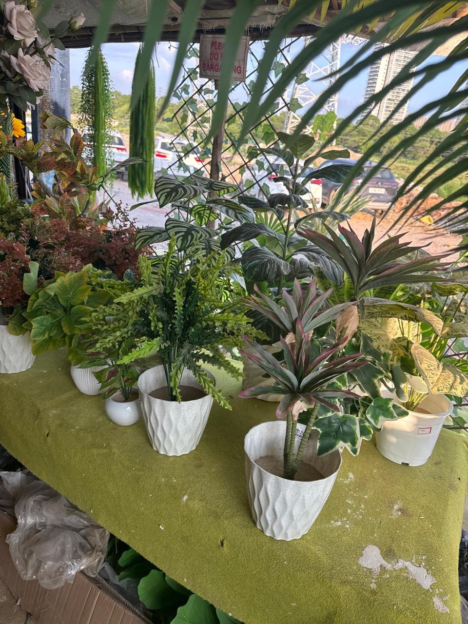 WhatsApp Image 2025-12-08 at 17.07.13_91c47072