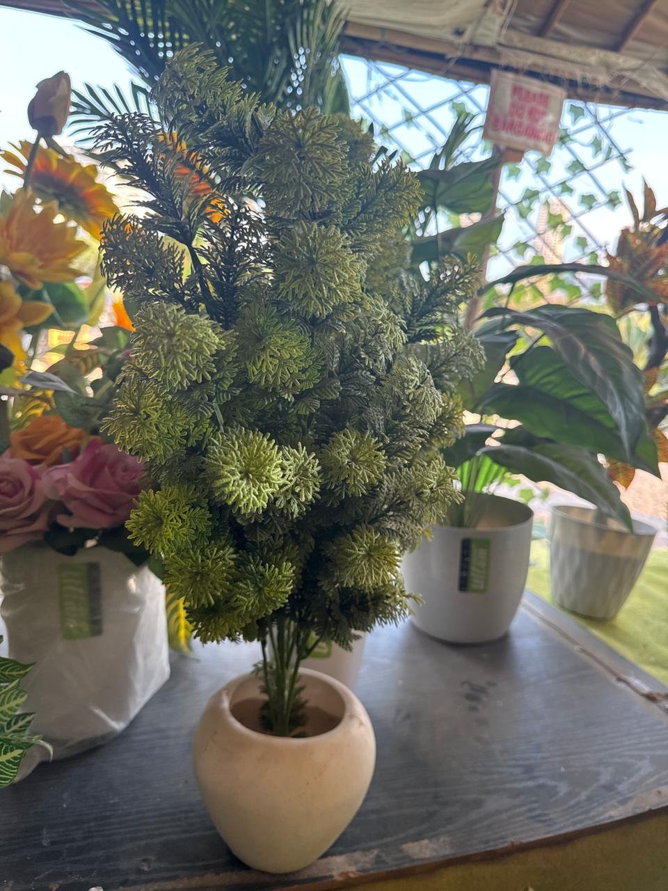 WhatsApp Image 2025-12-08 at 17.07.14_1b0e5ba7