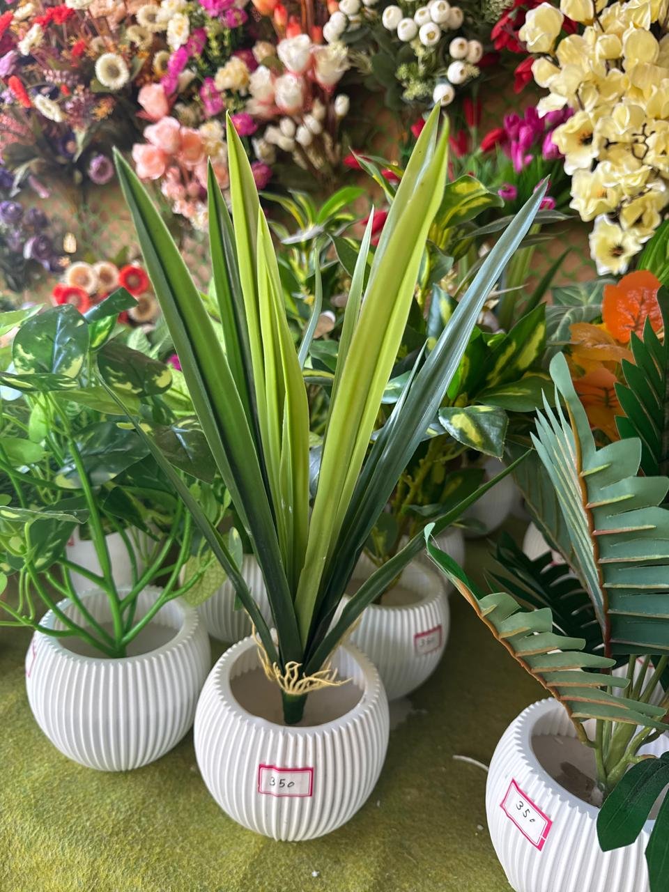 WhatsApp Image 2025-12-08 at 17.07.14_d1db4612